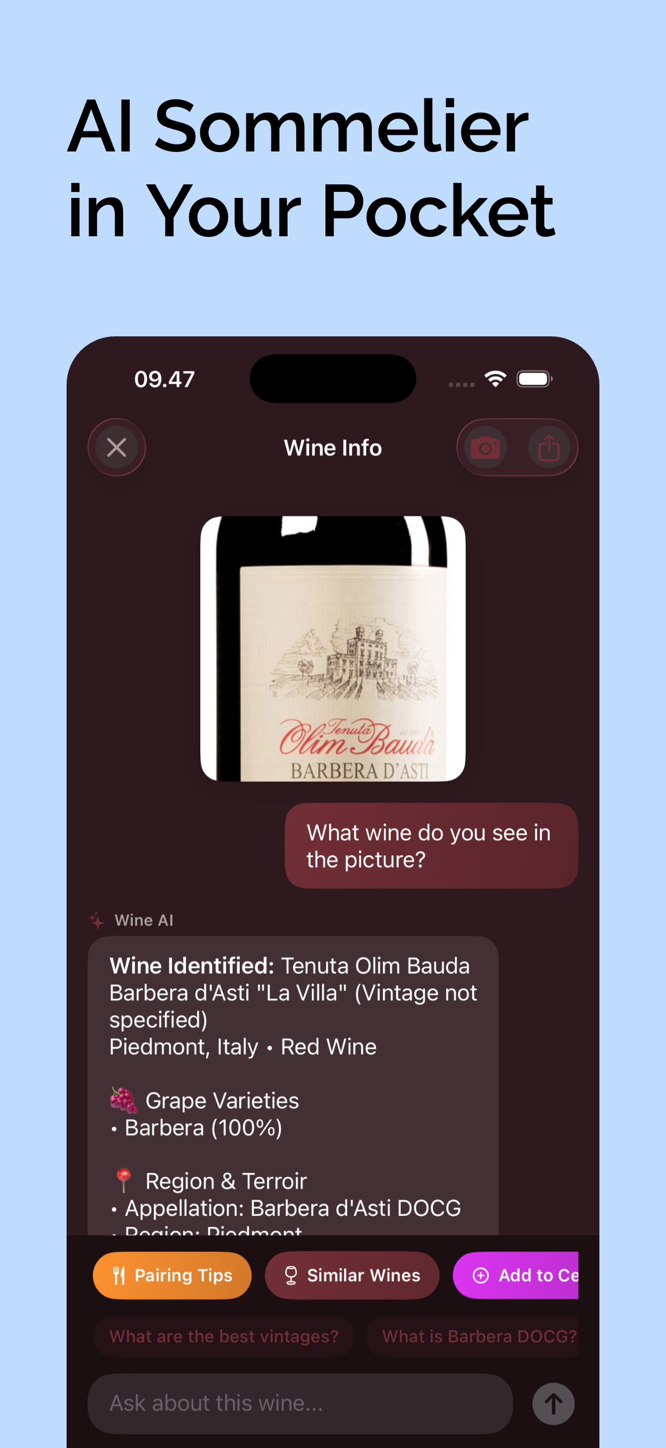 AI Sommelier in your pocket